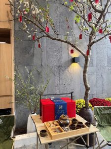 ĐÁ ONG XÁM: BẢN GIAO HƯỞNG CỦA TỰ NHIÊN TRONG KIẾN TRÚC HIỆN ĐẠI