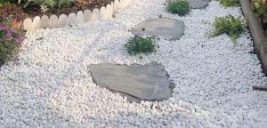 Sỏi Cuội Trắng Trang Trí Sân Vườn