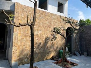Đá Vàng Sa Mạc Ốp Tường: Đẳng Cấp Sang Trọng Từ Thiên Nhiên